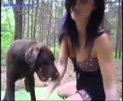 Зоо секс с собакой в лесу
